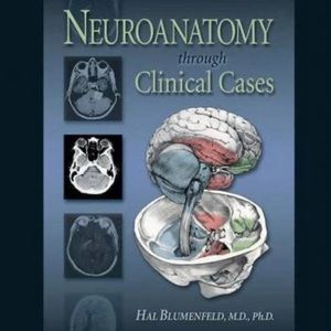 Neuroanatomy Through Clinical Cases text book